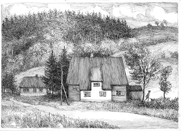 Haeuser_in_Zinnwald_89