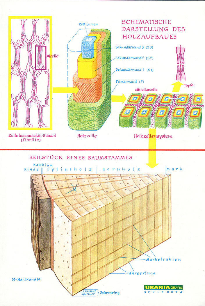 %_tempFileName76_07_Holzaufbau%